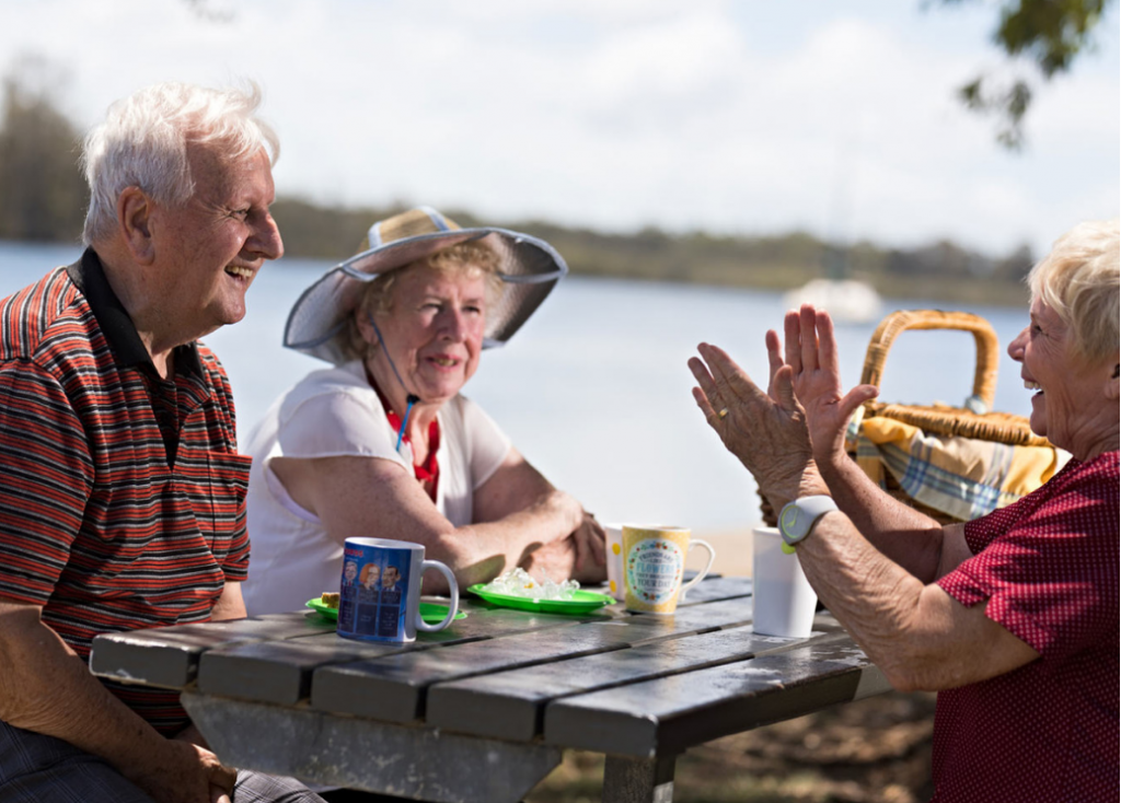 picnic social support Envigor